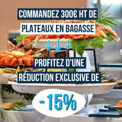 Plateau bagasse